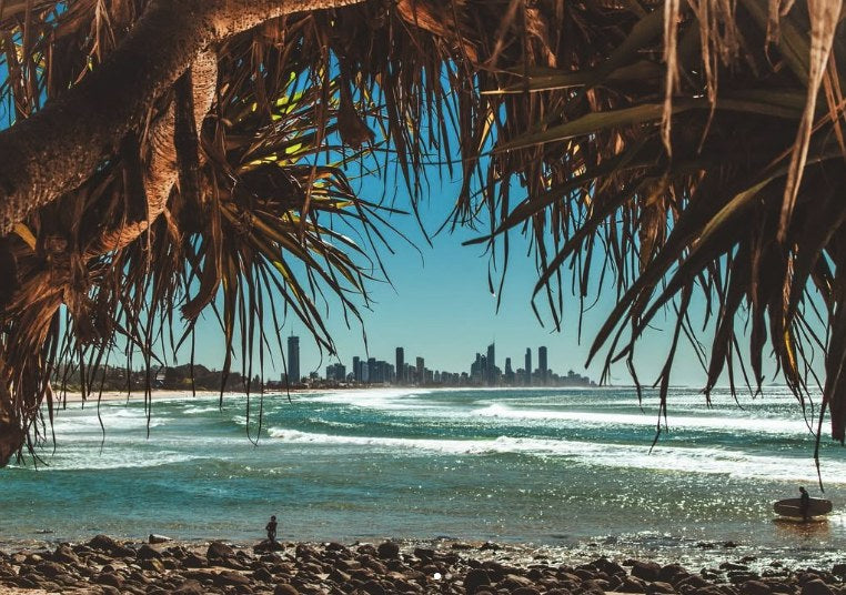 Pandanus