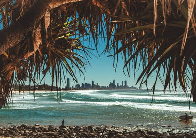 Pandanus